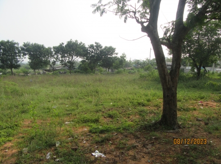 4) Li Id 282 - North Facing Plot.JPG